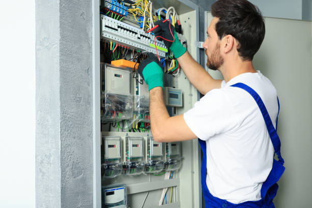 Best Electrical Troubleshooting Services  in Rogersville, AL