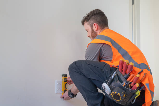 Best Local Electrician Companies  in Rogersville, AL