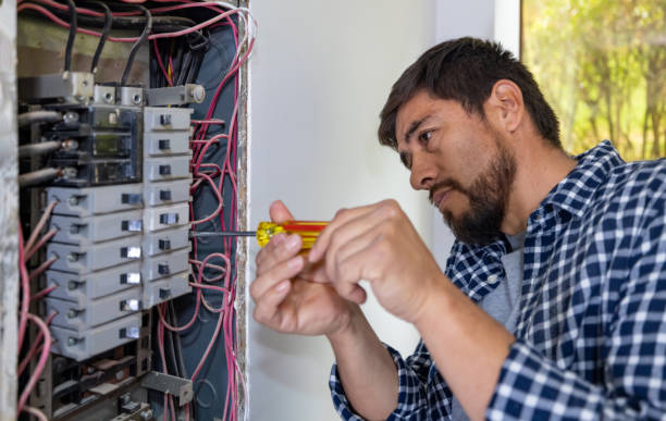 Best Electrician for Home Renovation  in Rogersville, AL